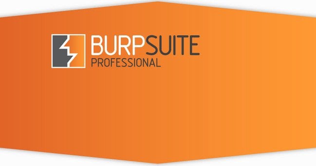 Burp Suite Professional Crack + License Key Latest Version 2022