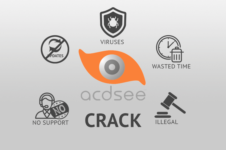 Acdsee Pro 2024 Crack + License Key Full Version (Activated)